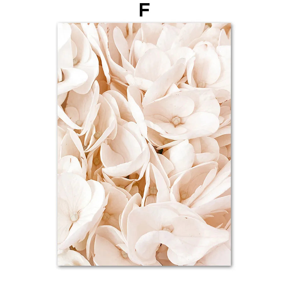 Poster med fransk arkitektur och eleganta blommotiv